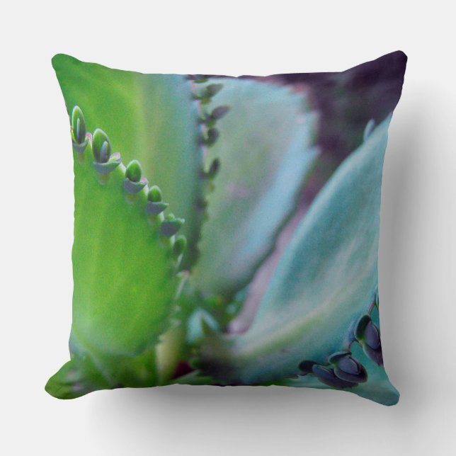 Coussin Couleurs Kalonchoe (Recto)