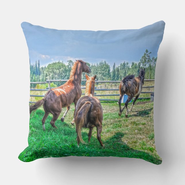 Coussin Courir Pinto Peinture Gelding & Stallions châtaign (Recto)