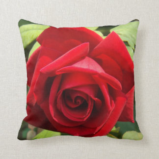 Coussin cramoisi de rose de gloire