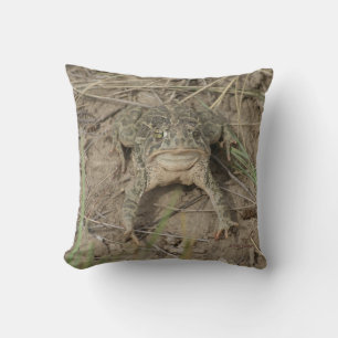 Coussin Crapaud de la prairie R10