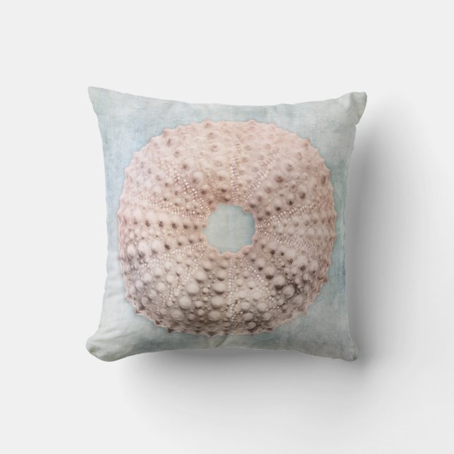 Coussin Crème Bleue du littoral en état de détérioration d (Recto)