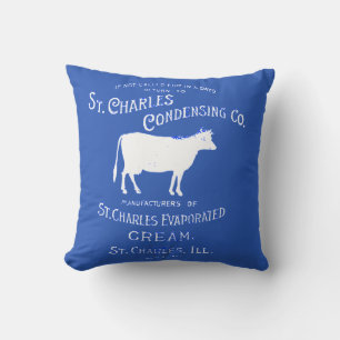 Coussin CRÈME DE LAIT DE VACHE LAITIÈRE St Charles Illinoi