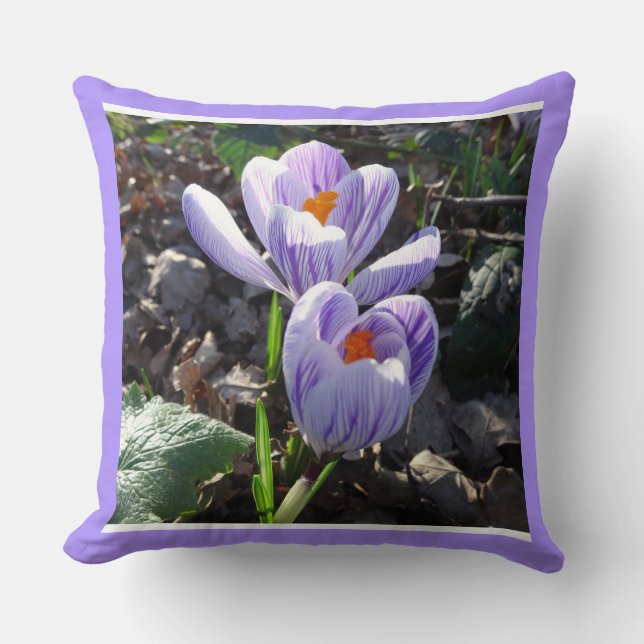Coussin Crocus rayés Lancer l'oreiller (Recto)