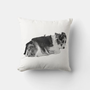 Coussin Cube approuvé