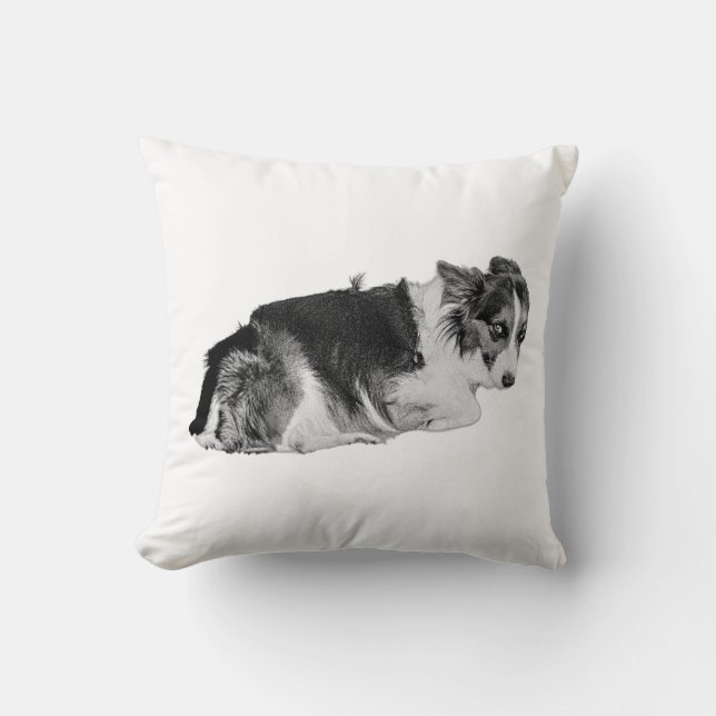 Coussin Cube approuvé (Recto)