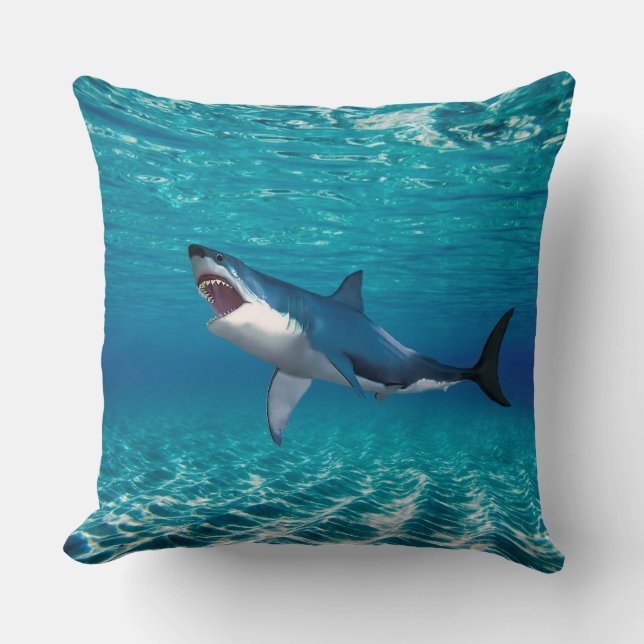 Coussin Cushion (Recto)