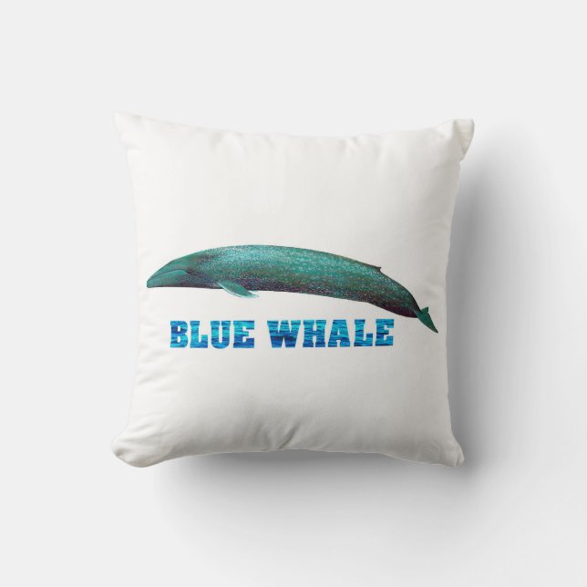 Coussin Cushion (Recto)