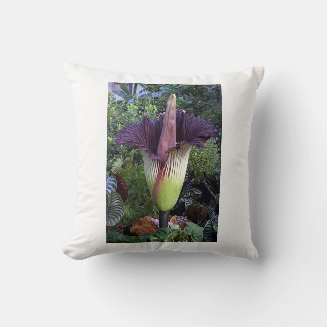 Coussin Cusion florale (Recto)