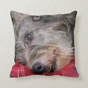 coussin - customisé