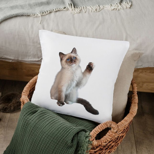 Coussin Cute Bold Siamese Chat Personnalisé Décor Cadeau B (Créateur téléchargé)
