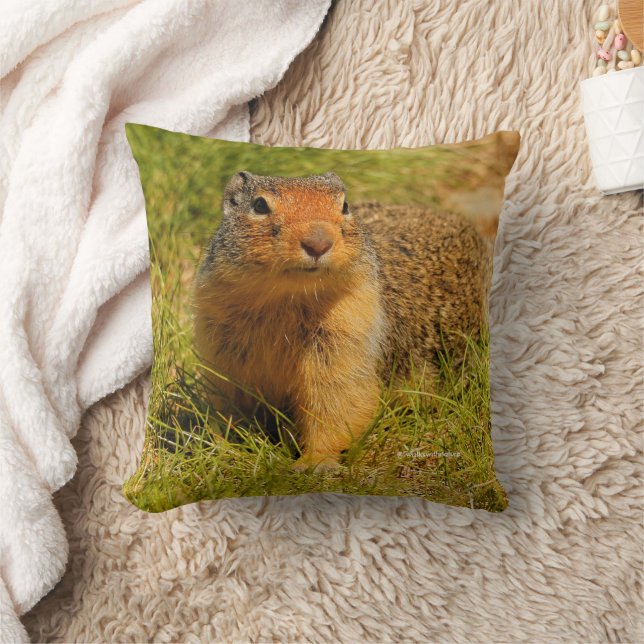 Coussin Cute Drôle Curieux Écureuil De Terre Colombien (Couverture)