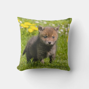 Coussin Cute Fluffy Red Fox Cub Wild Baby Animal Photo -