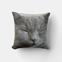 Cute Grey Kitty visage Photo Jeu d'oreiller