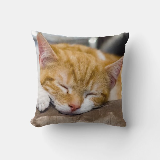 Coussin Cute Kitten (Recto)