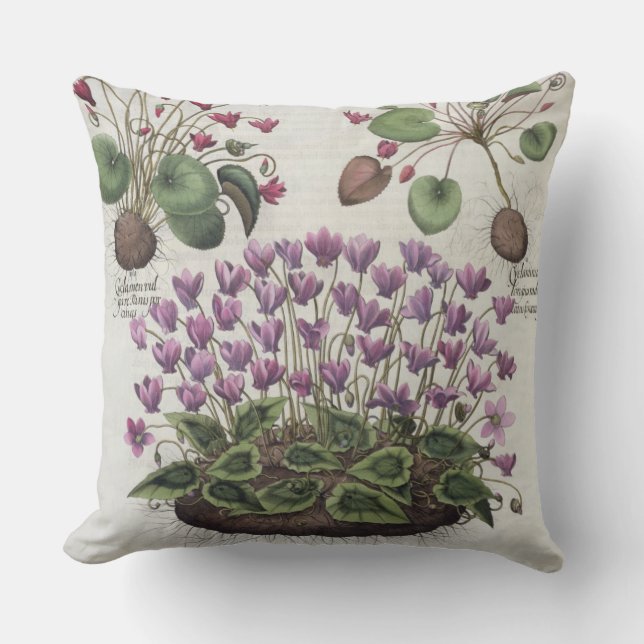 Coussin Cyclamen : hederaceis de foliis du serotinum (Recto)