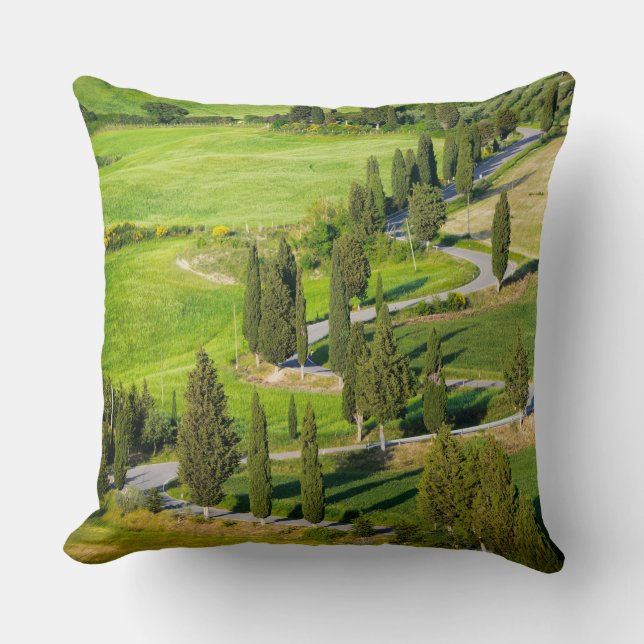 Coussin Cypress a rayé la route d'enroulement dans le (Recto)