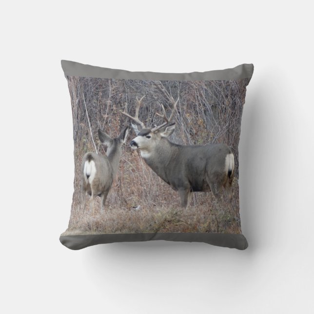 Coussin D29 Mule deer (Recto)