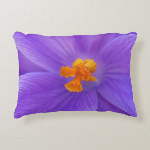 Coussin d'accent