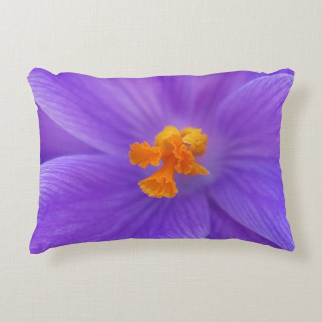 Coussin d'accent (Devant)