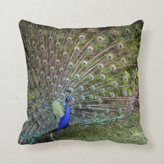 Coussin d'accent de paon