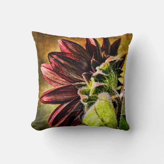 Coussin d'accent de tournesol de Bourgogne (Recto)