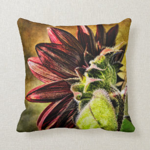 Coussin d'accent de tournesol de Bourgogne