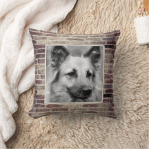 Coussin d'accentd'Accent photo pour animaux