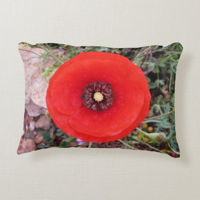 Coussin d'accents de Poppy sauvage (Dos)