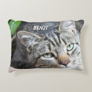 Coussin d'accentuation de chat gris