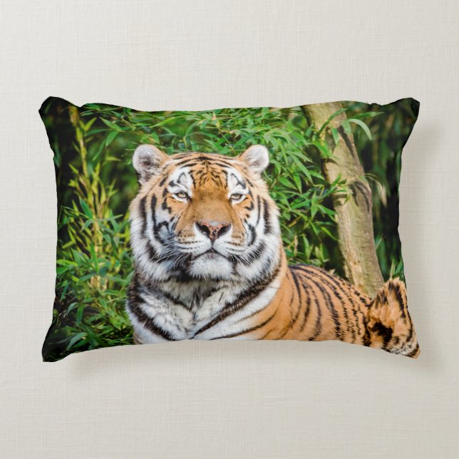 Coussin d'accentuation du tigre (Devant)