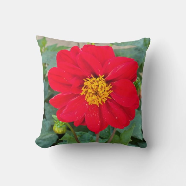 Coussin Dahlia Bright Red (Recto)