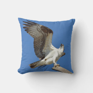 Coussin d'ailes étirées Osprey Hawk