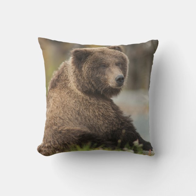 Coussin d'Alaska de séance d'ours Brown (Recto)
