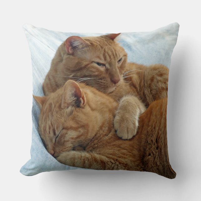 Coussin d'amour fraterly (Recto)