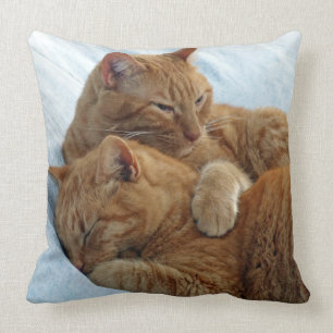 Coussin d'amour fraterly