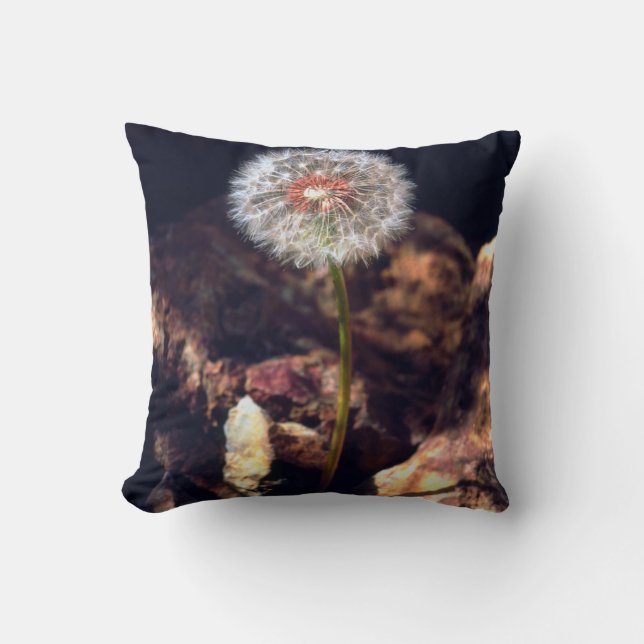 Coussin Dandelion (Recto)