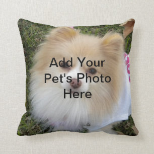 Coussin d'animal familier