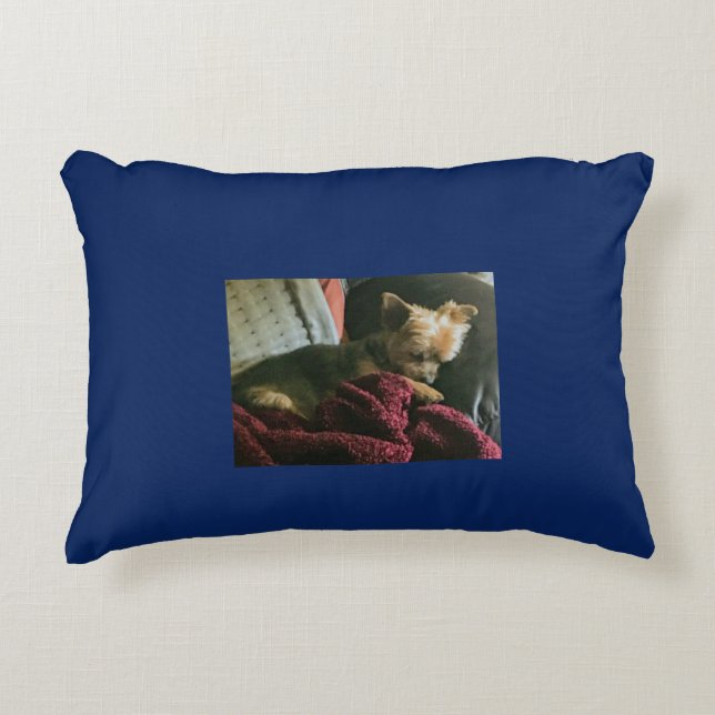 Coussin d'animal familier (Devant)