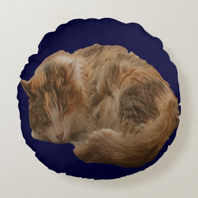 Coussin d'animal familier de polisson de chaton de (Devant)
