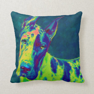 Coussin Danois d'arc-en-ciel