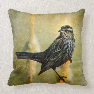 Coussin Dans le carreau des feux de la rampe