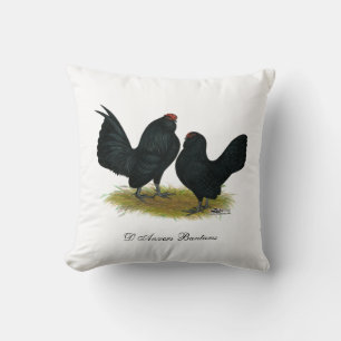 Coussin D'Anvers Black Bantams