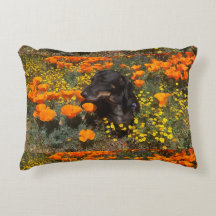 Coussin DashshundAccent