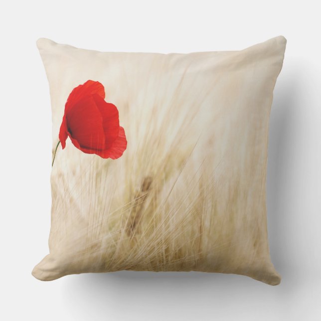 Coussin de 40,5 cm x 40,5 (Recto)