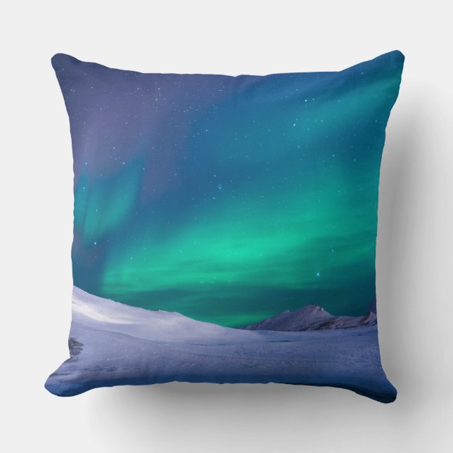 Coussin de 40,5 cm x 40,5 (Recto)