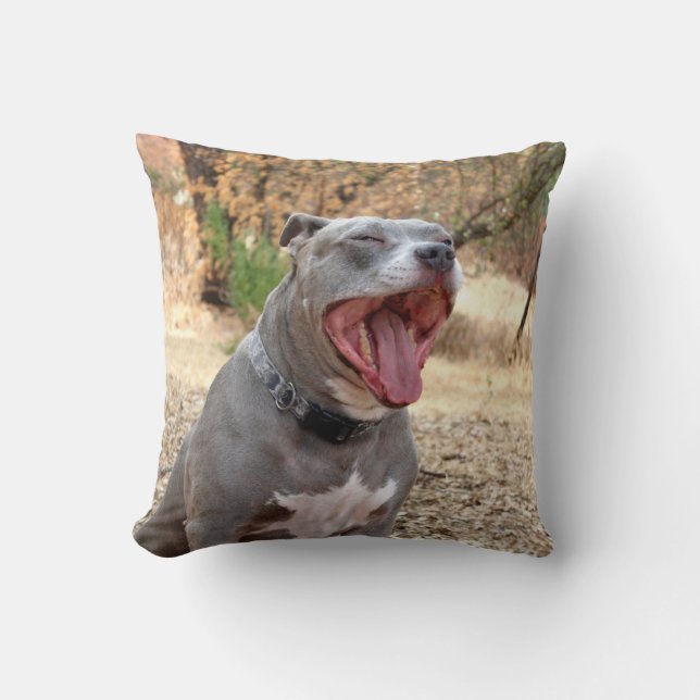 Coussin de bâillement de matin de Pitbull (Recto)