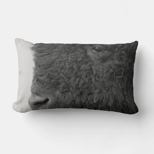Coussin de bison ou de Buffalo (Recto)