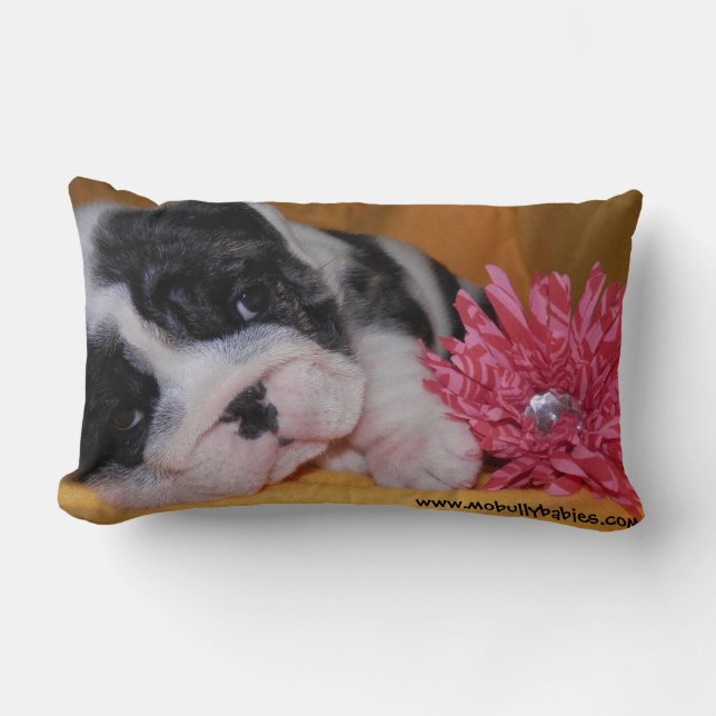 Coussin de bouledogue d'amour de despote (Recto)
