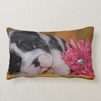 Coussin de bouledogue d'amour de despote