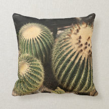 Coussin de cactus